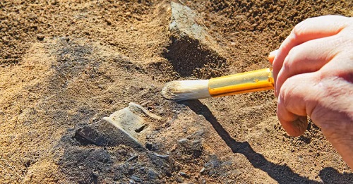 Israeli Archeologists Uncover 2,100-Year-Old Farmstead ‘Frozen in Time’ in Galilee