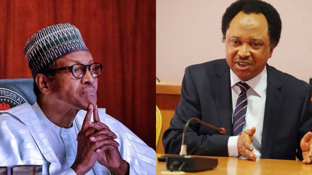 Shehu Sani lashed out at Buhari