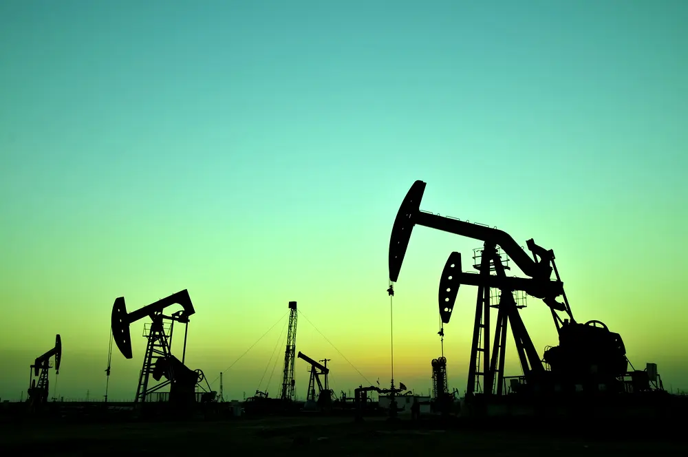 FG hands over 57 oil fields to Matrix, Ardova, others