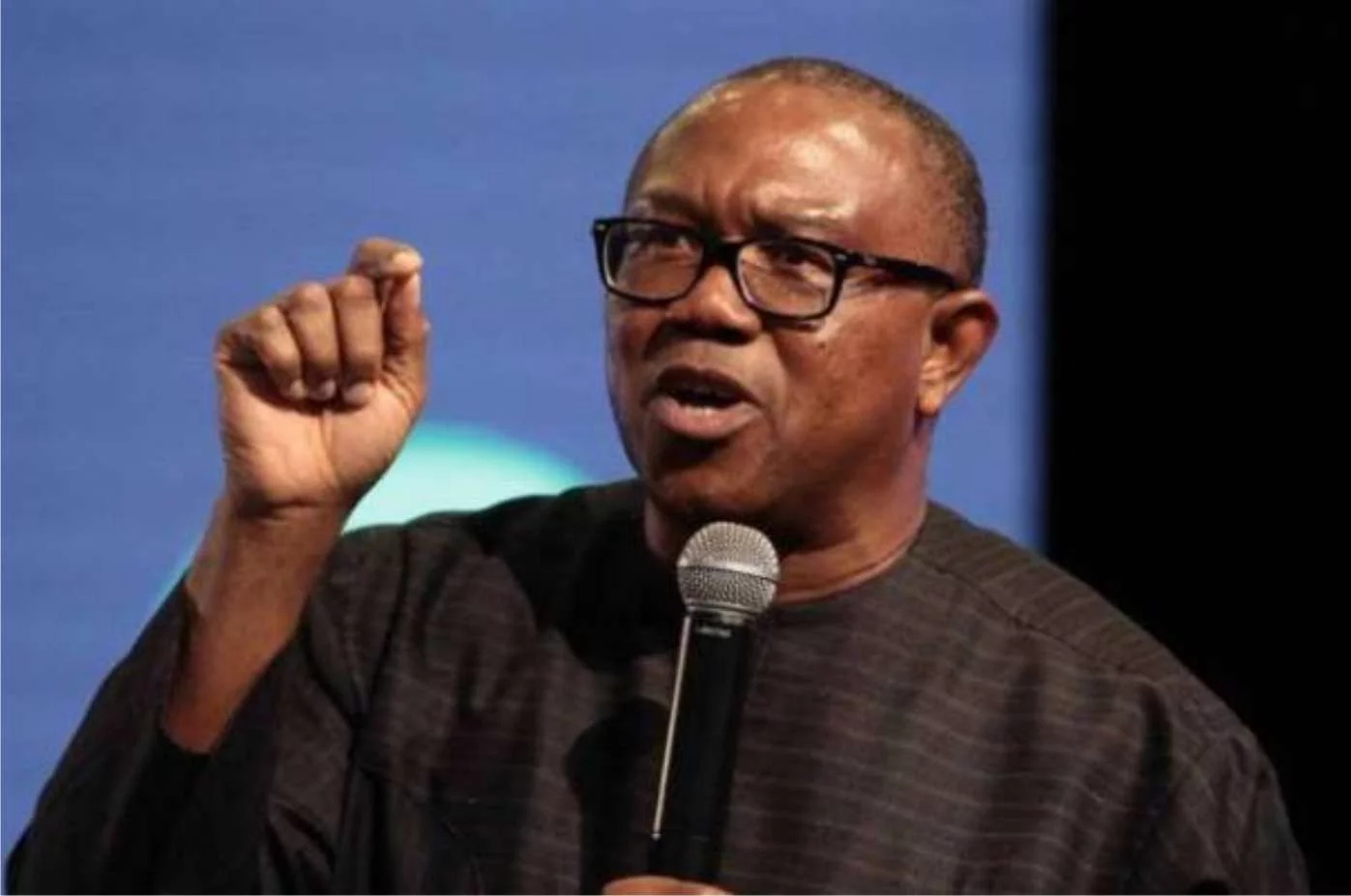 Lunatics have taken over politics in Nigeria – Peter Obi