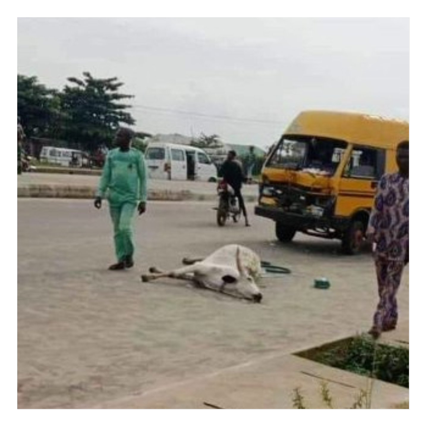 Lagos: Police arrest herders who stabbed man to death over cow