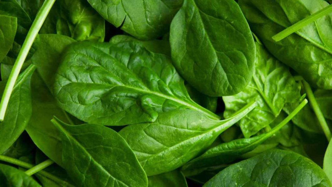 THE BENEFITS OF EATING SPINACH IN EVERY MEAL