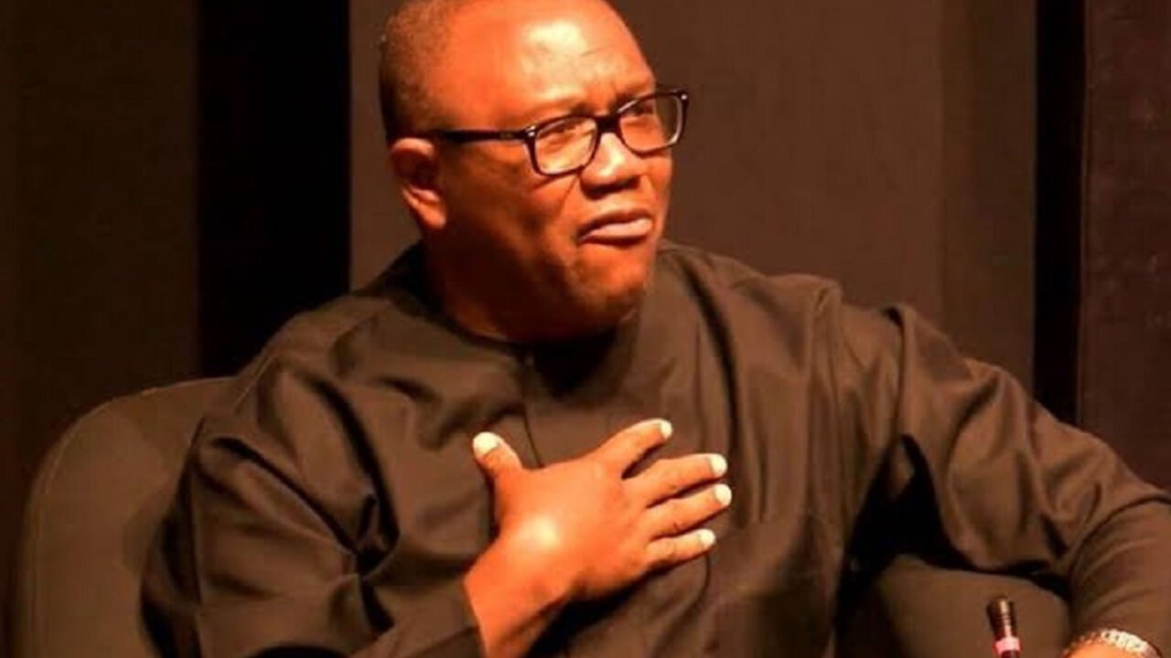 More than five governors and other top leaders are working for Peter Obi – LP