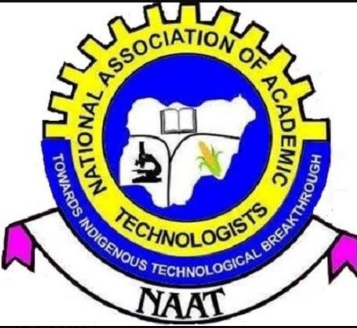 NAAT suspends strike for 3 months