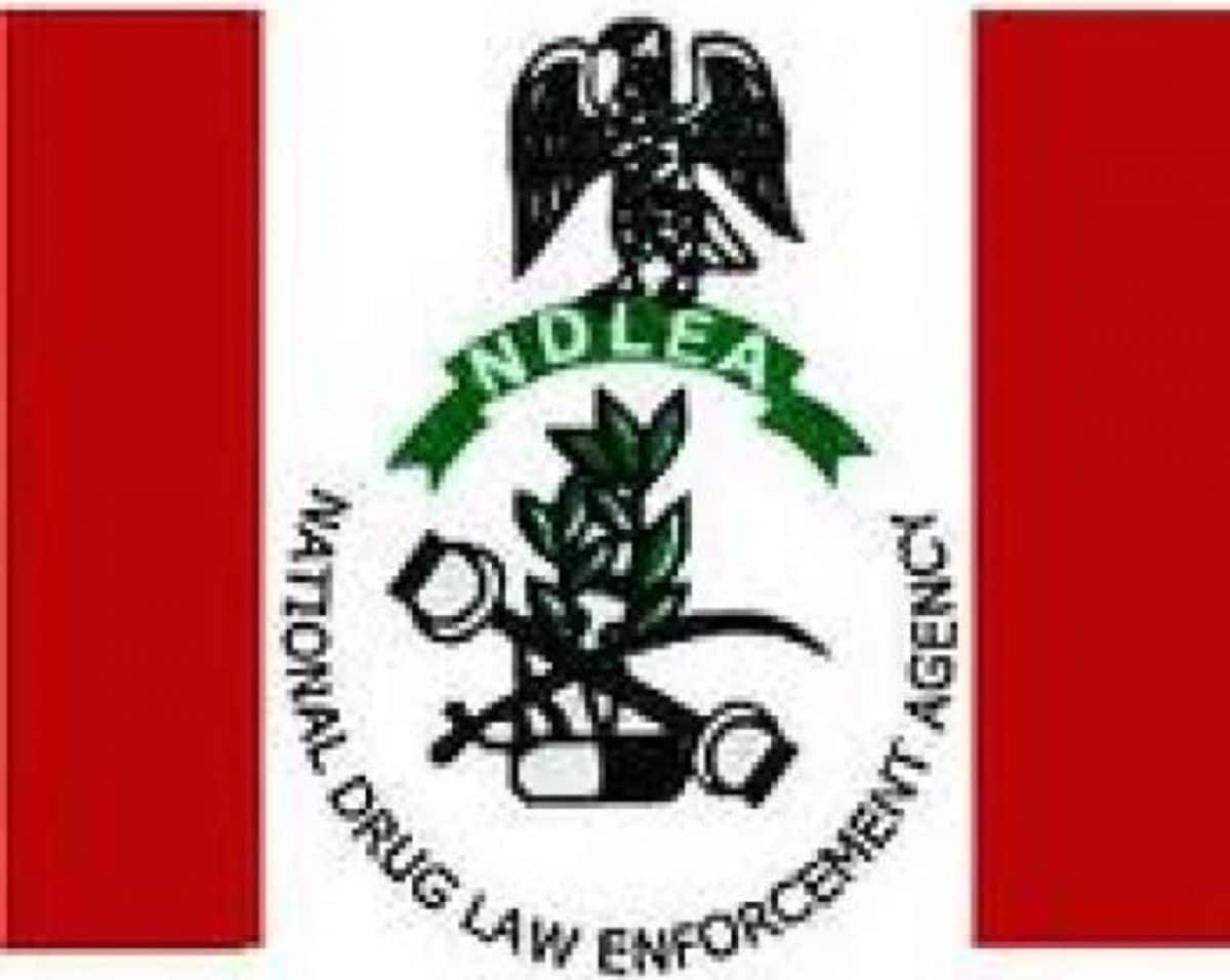 NDLEA warns politicians against drugging youths for election violence