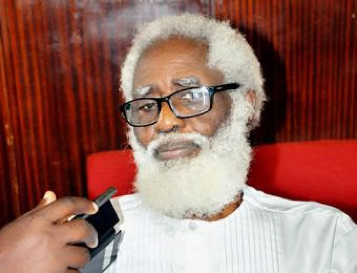 Nigerians were warned about Buhari – Former Ambassador, Farounbi