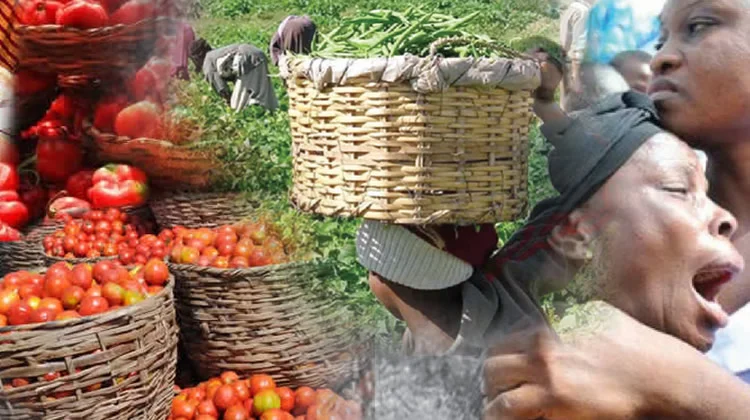 Rising food prices to worsen, terrorists sack farmers