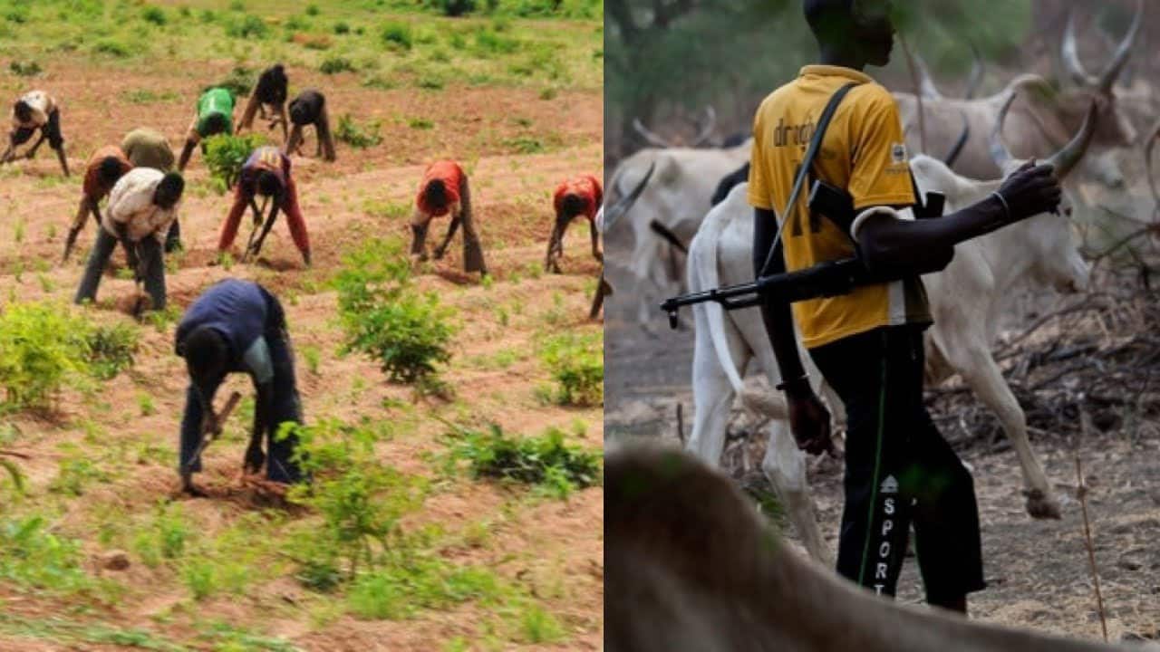 Herdsmen allegedly attack farmers in Ondo community