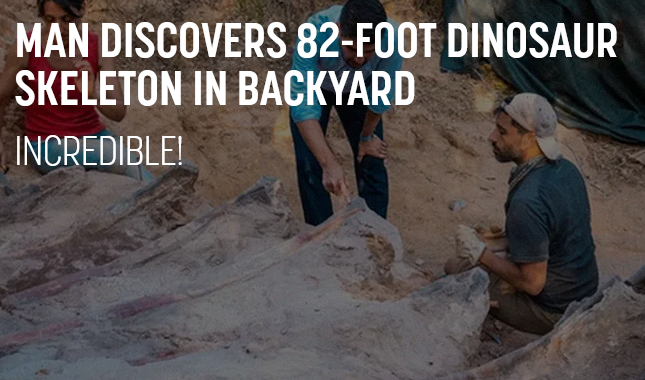 Man Discovers 82-Foot Dinosaur Skeleton in Backyard