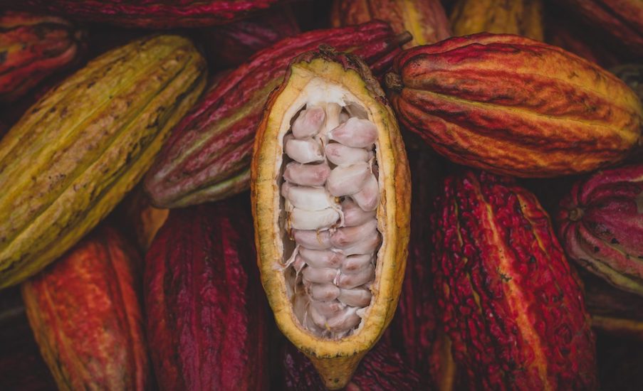 US Announces  Million Project to Improve Cocoa Value Chain in Nigeria