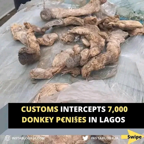 Custom intercepts Donkey penis