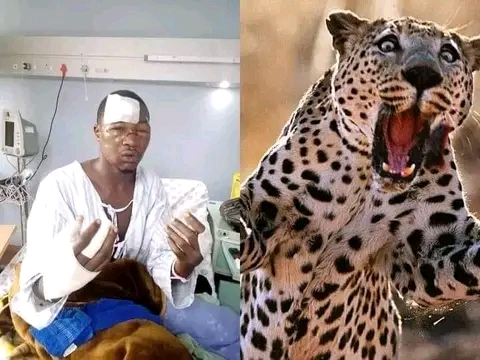 South African man fights and killed a Leopard