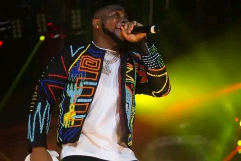 Davido Announces One Day Musical Festival