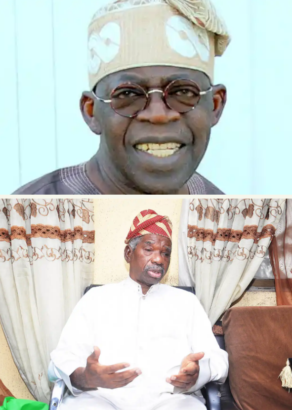 Tinubu’s Health- Every Individual Has His Own Percentage Of Illness- Olusi