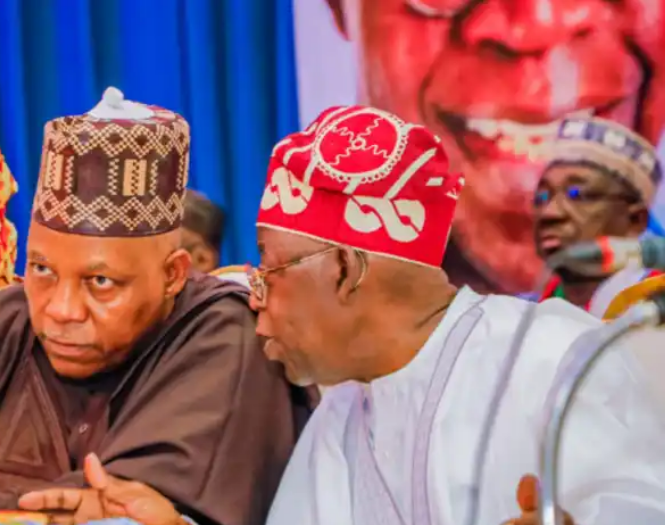 Shettima: Nigeria Needs Obasanjo’s Work Ethic, Abacha’s Hospitality, Buhari’s Commitment — Tinubu Has These Qualities