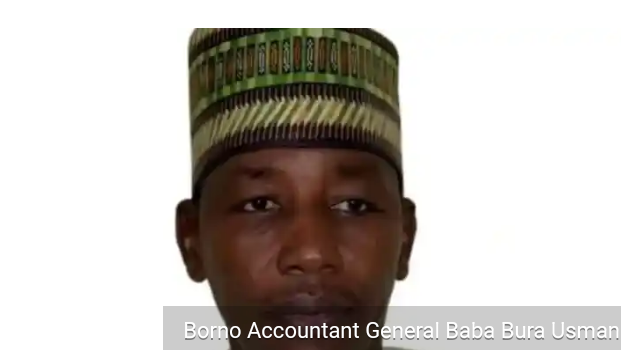 Borno Gets New Accountant General