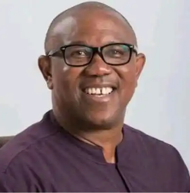 2023: Peter Obi Unveils Seven–Point Economic Master Plan