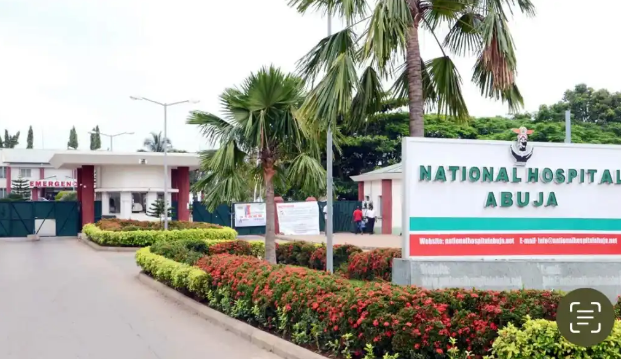 Presidency planning to ‘impose’ Yusuf Buhari’s doctor as CMD of National Hospital