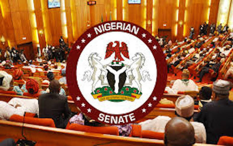 Senate Rejects N6trn Tax, Import Duties Waivers in 2023 Proposed Budget