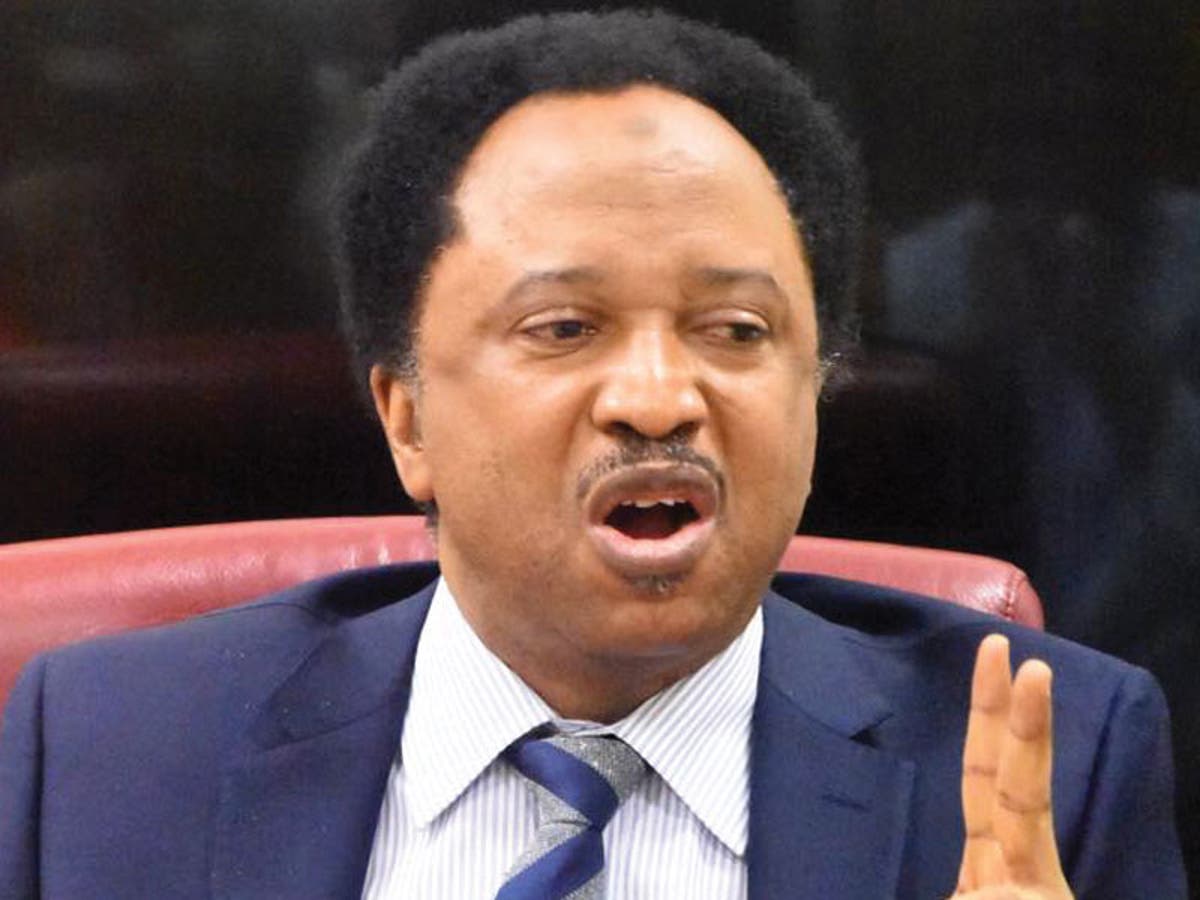 Outside forces fully involved in PDP crisis- Shehu Sani