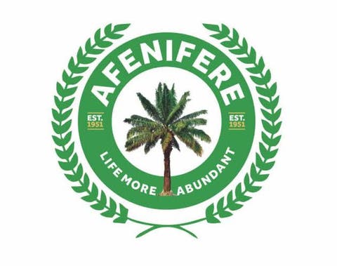 Attacks in Oyo, Osun, Kwara, Enugu, Kaduna, Others Underscore Need to Arm Local Security, Afenifere Insists