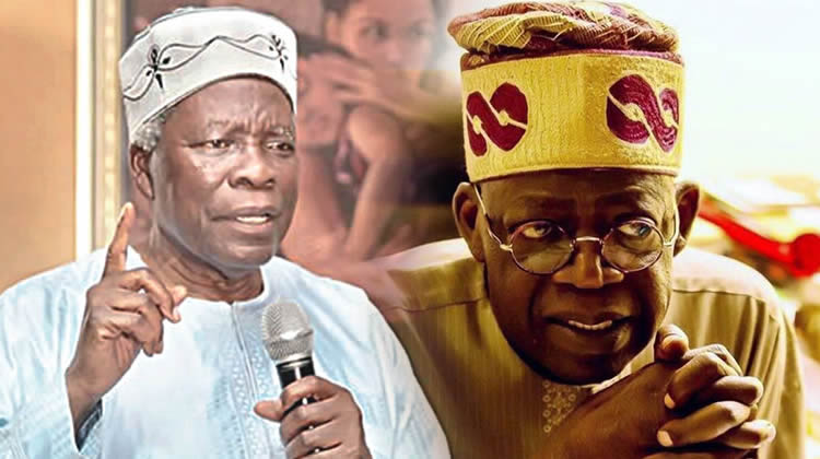 2023: Tinubu after personal interest, says Akintoye