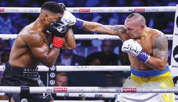 Joshua lost N1.4bn after Usyk defeat