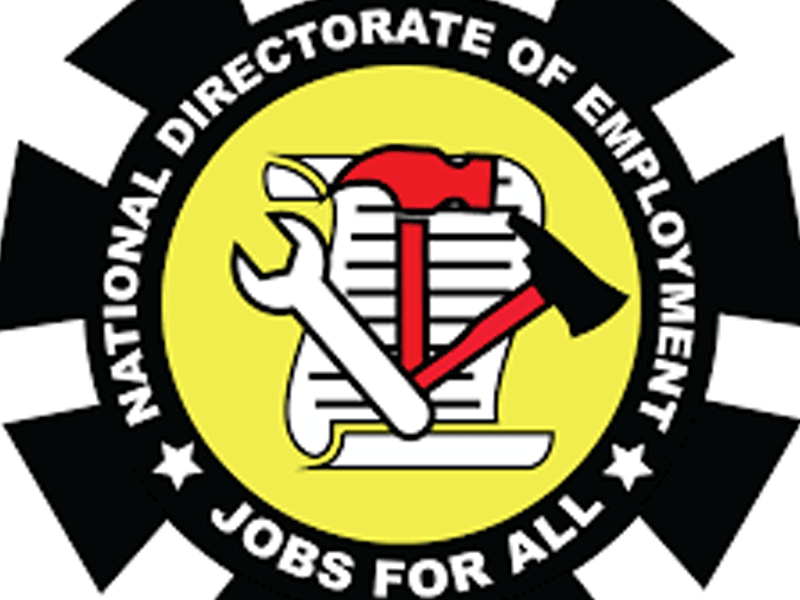 NDE Trains 30 Youths in Edo