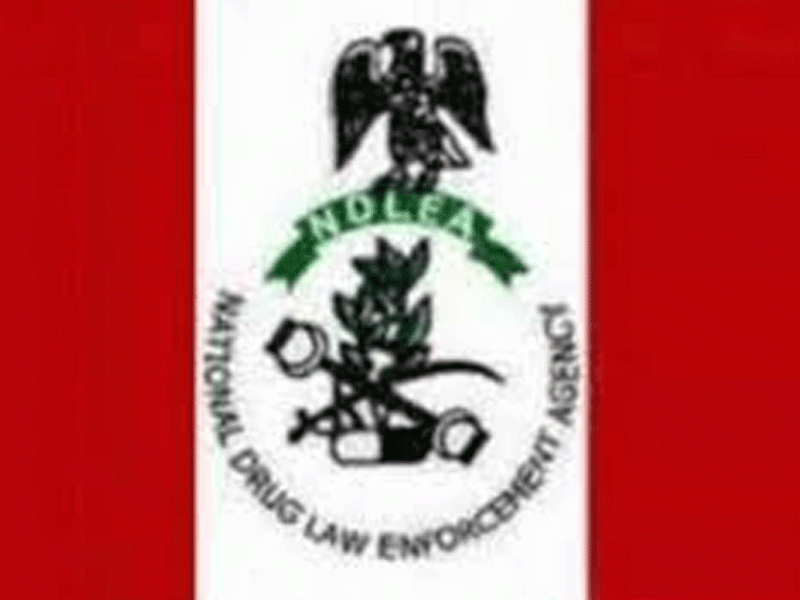 Mohbad’s death: NDLEA being investigated – Police