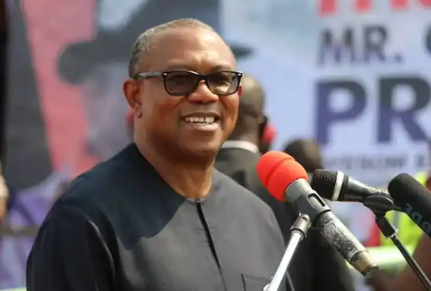 18 Governors, Ex-leaders Behind Peter Obi – Ohanaeze