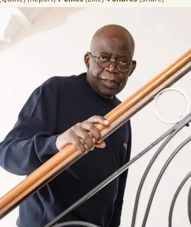 Ogunlewe: Tinubu’s Health Doesn’t Matter As Long As He Assembles A Good Cabinet