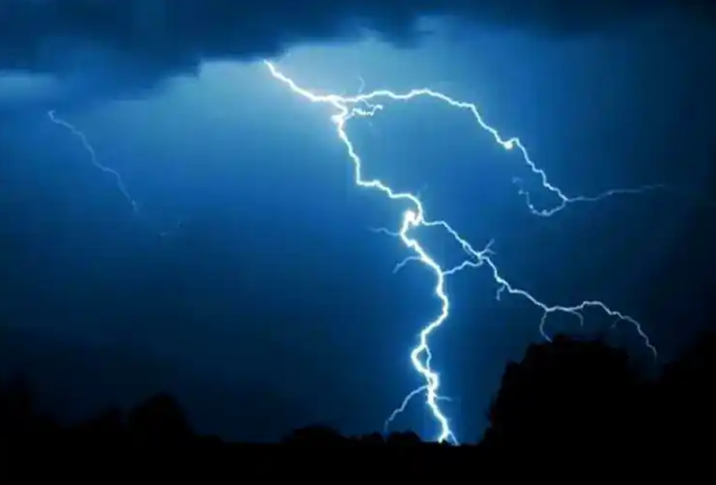 Lightning Kills Chainsaw Operator While Cutting 80-yr-Old Tree In Ondo