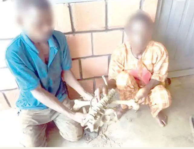 Vigilante Caught 2 Suspects With Human Bones In Ibadan