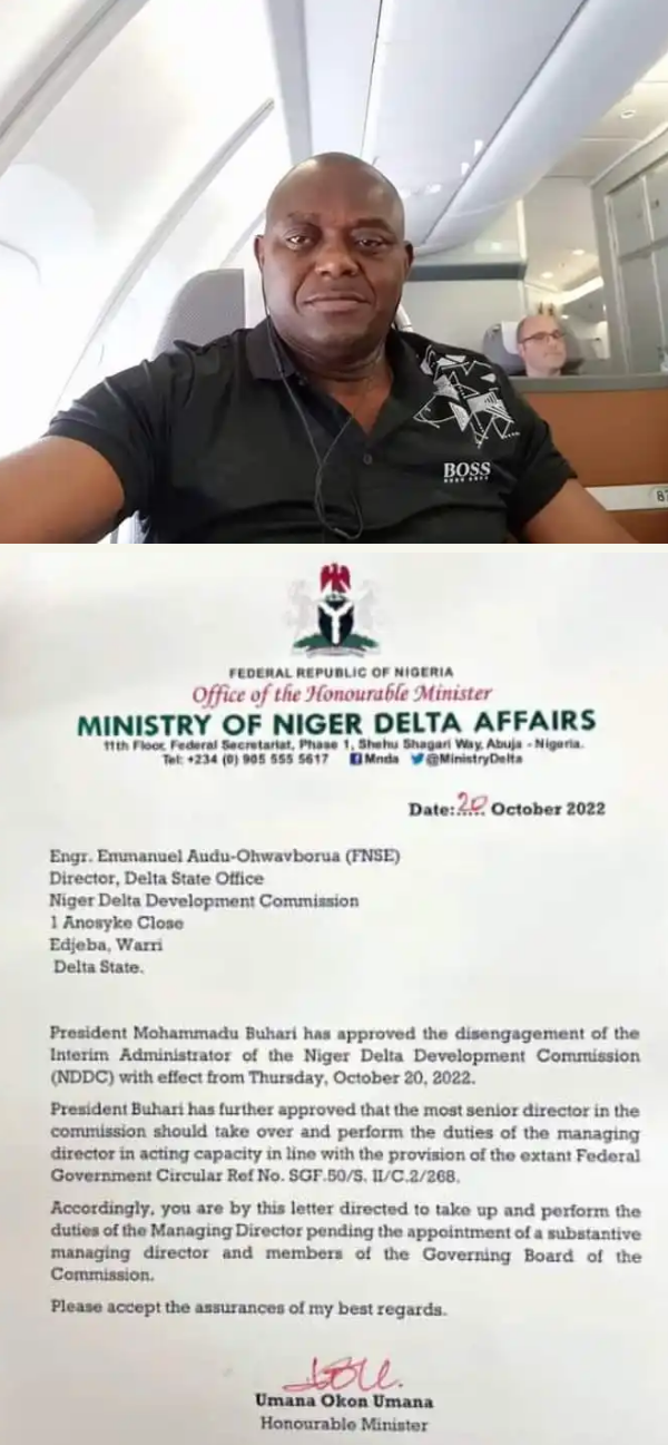 Buhari Appoints Emmanuel Audu-Ohwavborua As Acting MD, NDDC