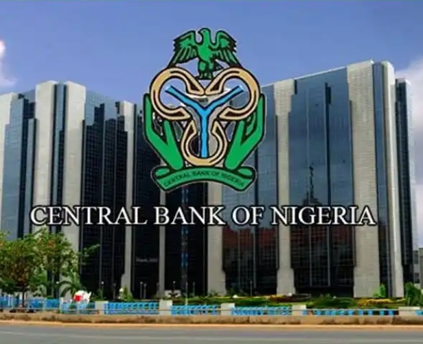 Naira Redesign: We followed Due Process- CBN To Finance Minister