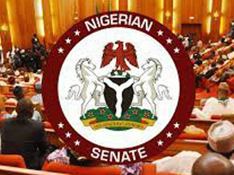 Senate confirms minimum age requirement for admission into universities