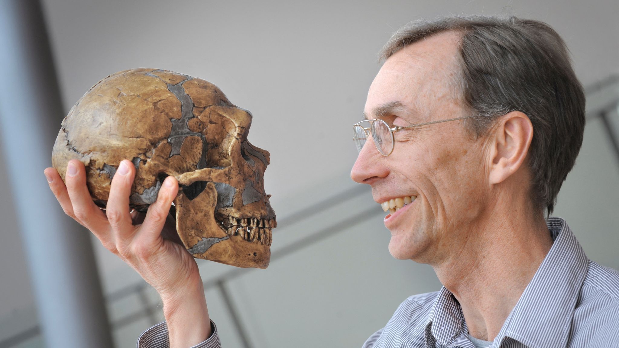 Scientist who extracted DNA from 40,000-year-old bones wins Nobel Prize