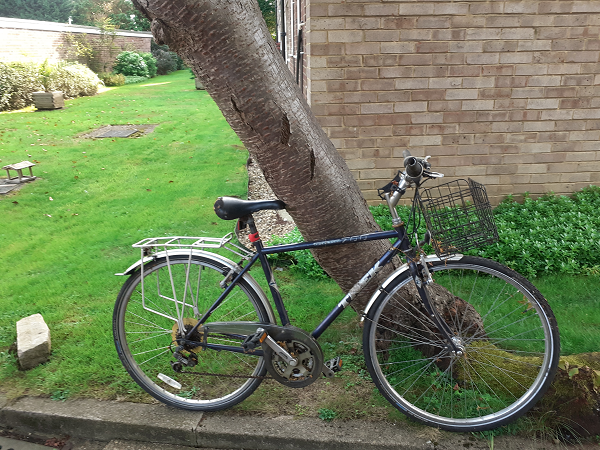 Get a Free London, Used Trek Dutch Bicycle