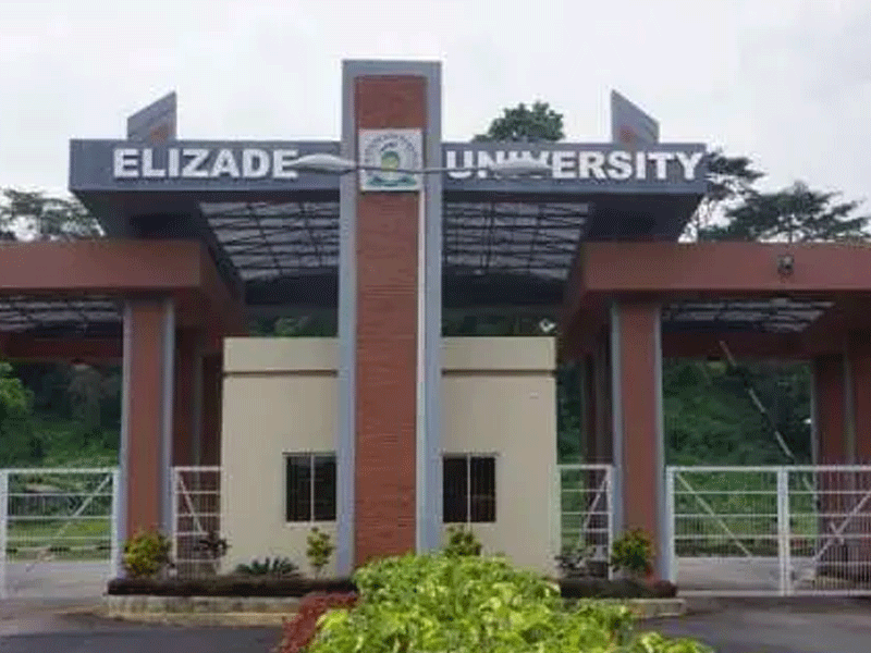 Elizade University Begins Research on Conversion of Waste Banana Stem to Threads, Carpets