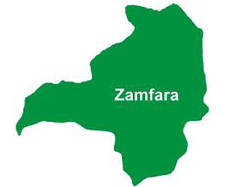 Zamfara PDP Chairman Slumps And Dies