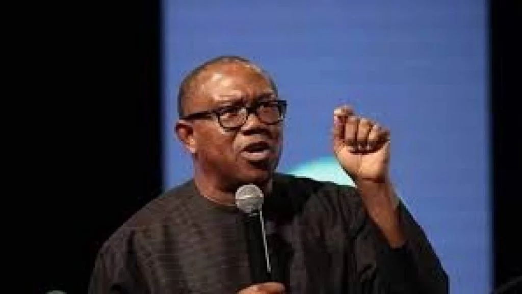 Peter Obi: Nigeria must look beyond oil