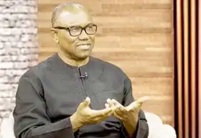 I Will Restore Peace By Dialoguing With IPOB, Other Agitators- Peter Obi