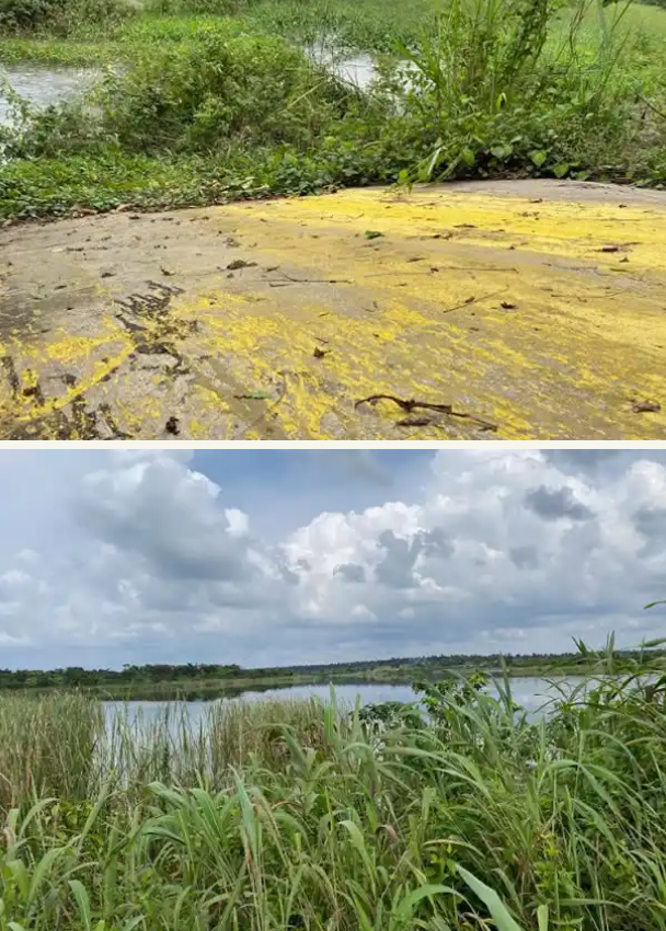 Toxic Chemicals Pollute Rivers, Threaten Lives, Livelihoods In Oyo Communities