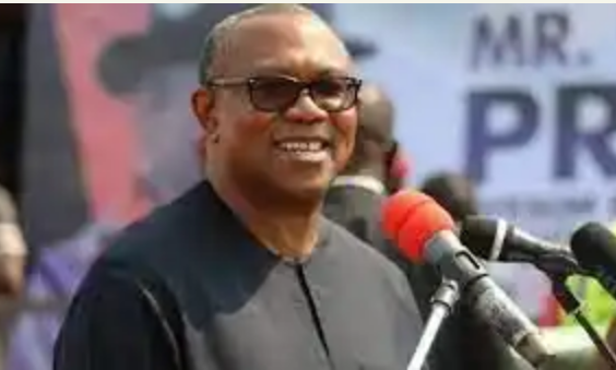 Nigeria Is Not A Productive State And I Know The Problem- Peter Obi