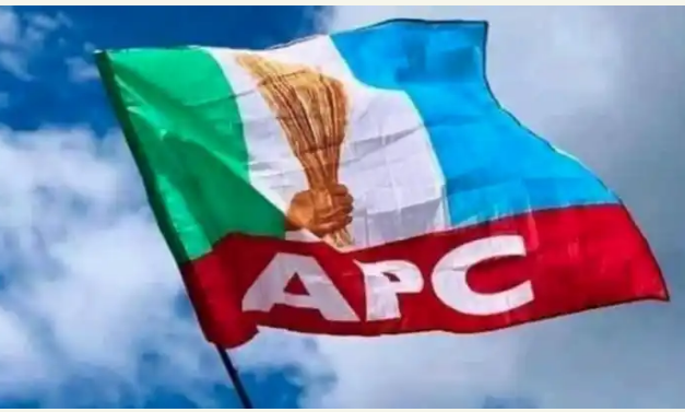 Crisis Hits Adamawa APC As Stakeholders Agree To Drop Binani For Ribadu