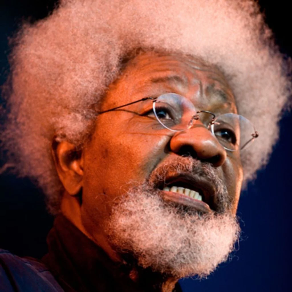 Jaye Lo video: Davido doesn’t owe Muslims apology – Wole Soyinka