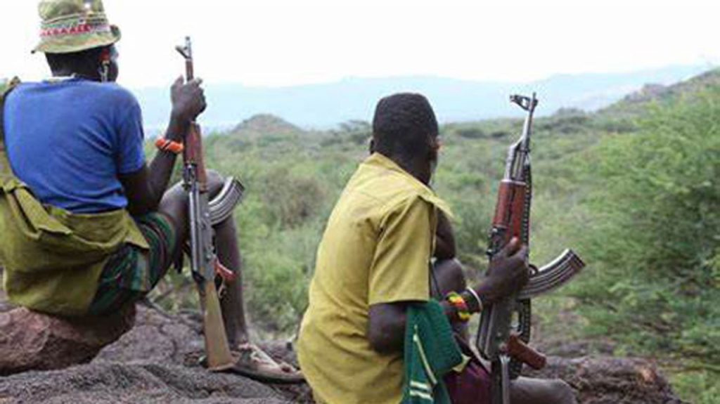 Bandits gun down 25 farmers, abduct several others in Niger State