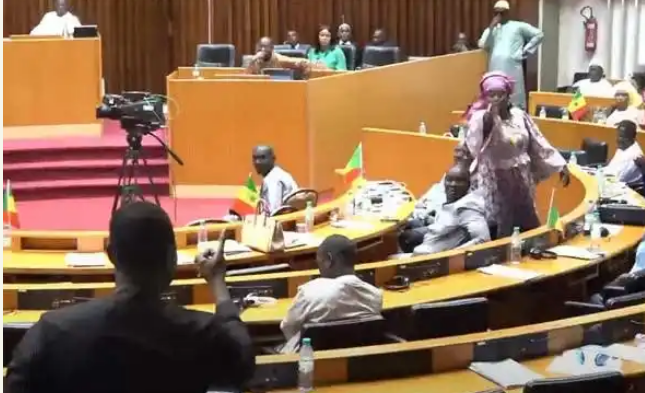 Lawmakers Exchange Blows In Senegal’s Parliament –