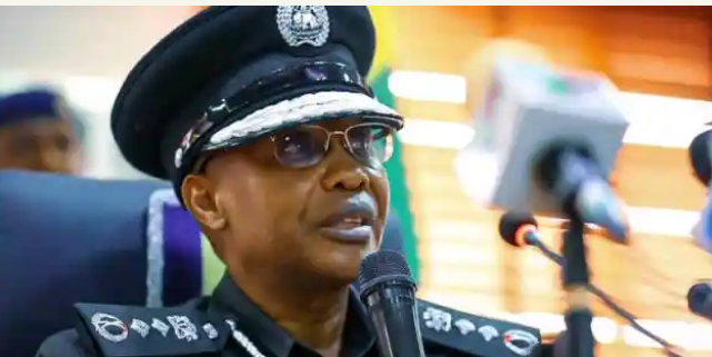 Politicians, Others Behind Attacks On INEC Offices – IGP