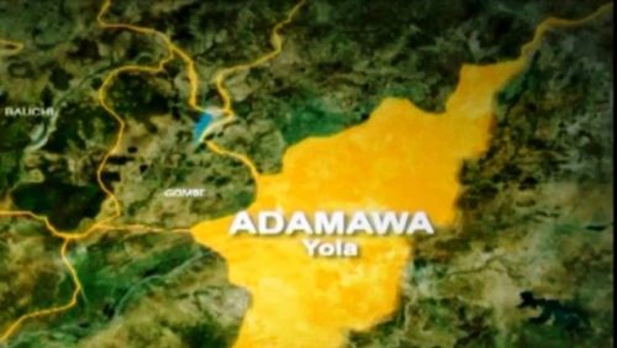 94-year-old man allegedly rapes 13-year-old girl in Adamawa